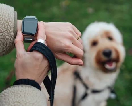 The Honest Scoop Regarding Smartwatches? Life Improves Lacking a Bossy Device on Your Wrist